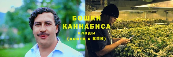 шишки Алексин